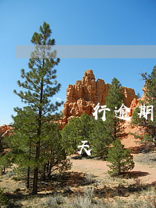 銀行逾期還款利息上限(銀行貸款利息超過幾天、會算逾期嗎)